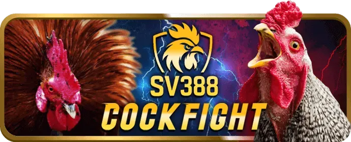 Cấp độ VIP Bạch Kim bty523 casino
